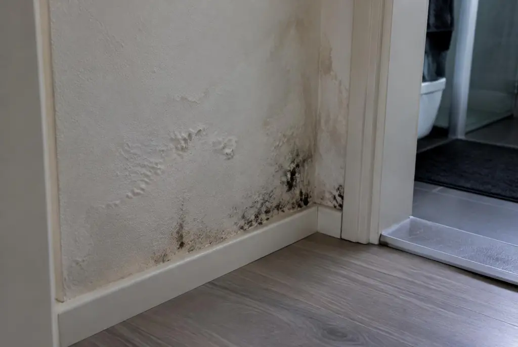 Lekdetectie Breda – vochtplek met schimmel op een muur